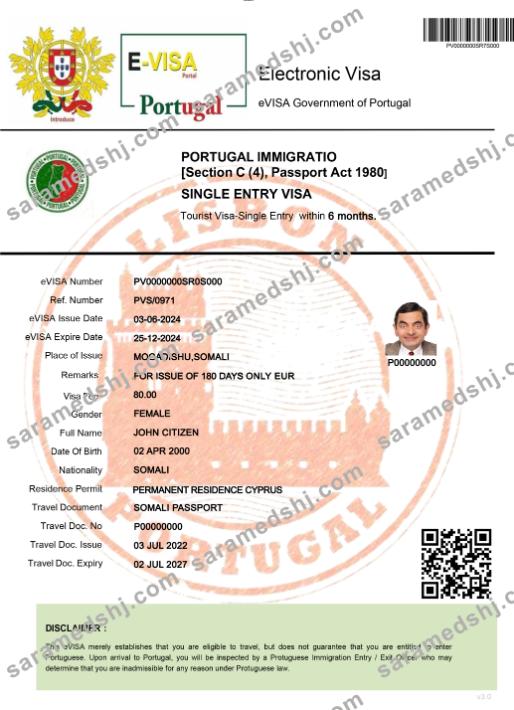 Portugal electronic visa